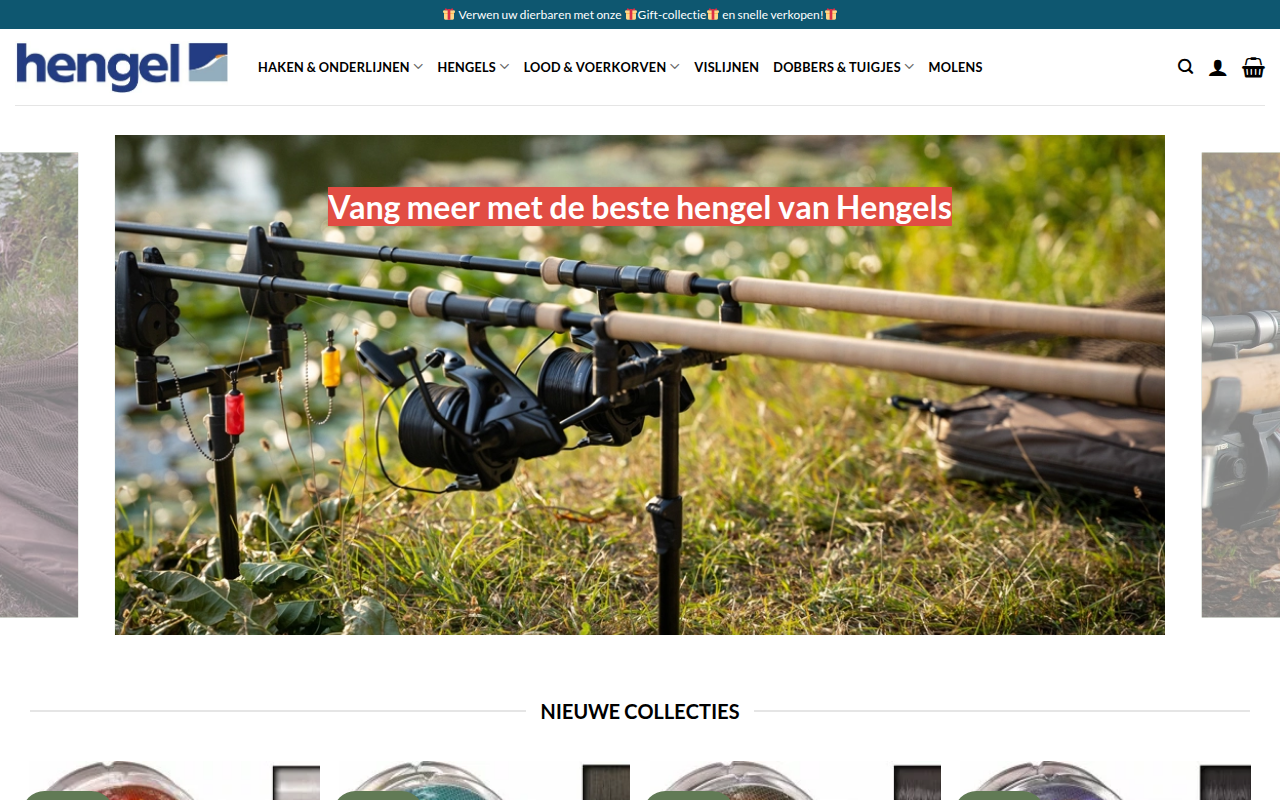 Screenshot van vislijnengoedkoop.com