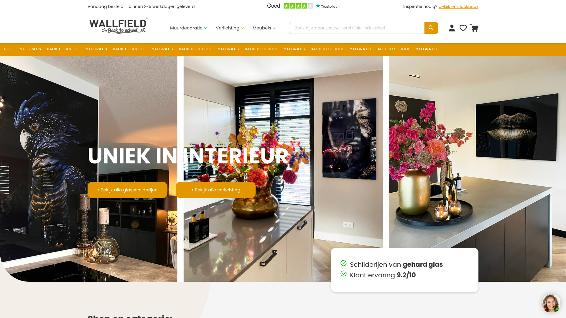 Screenshot van wallfield.nl
