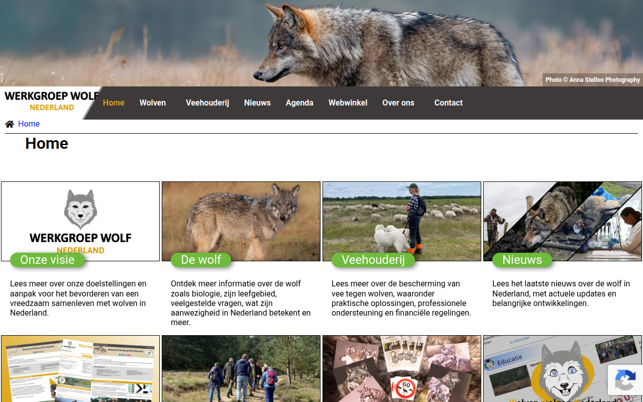 Screenshot van werkgroepwolf.nl
