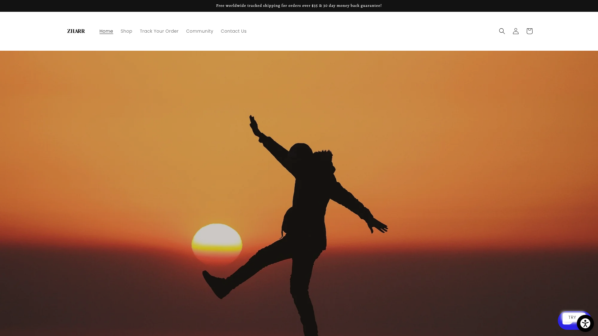 Screenshot van zilarr.com
