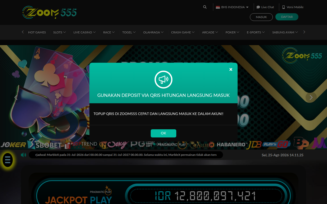 Screenshot van zoom555big.com