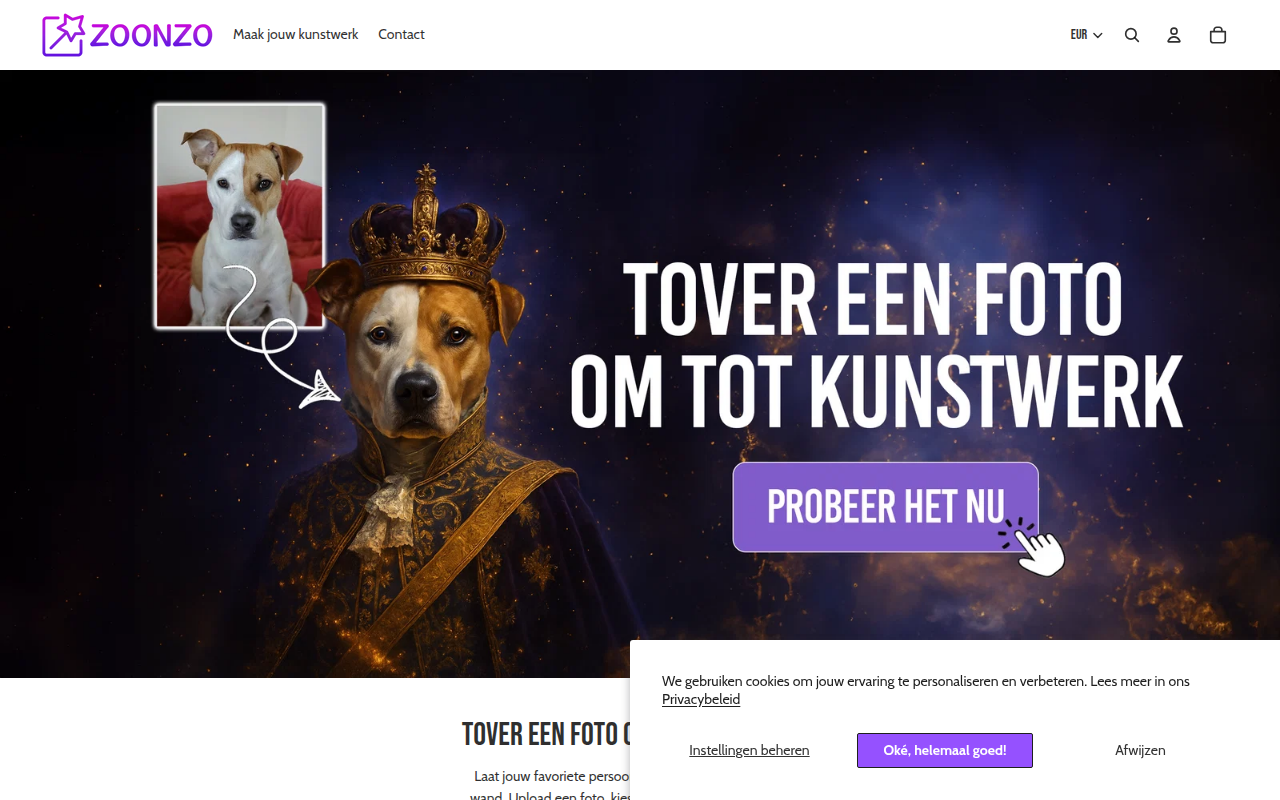 Screenshot van zoonzo.nl