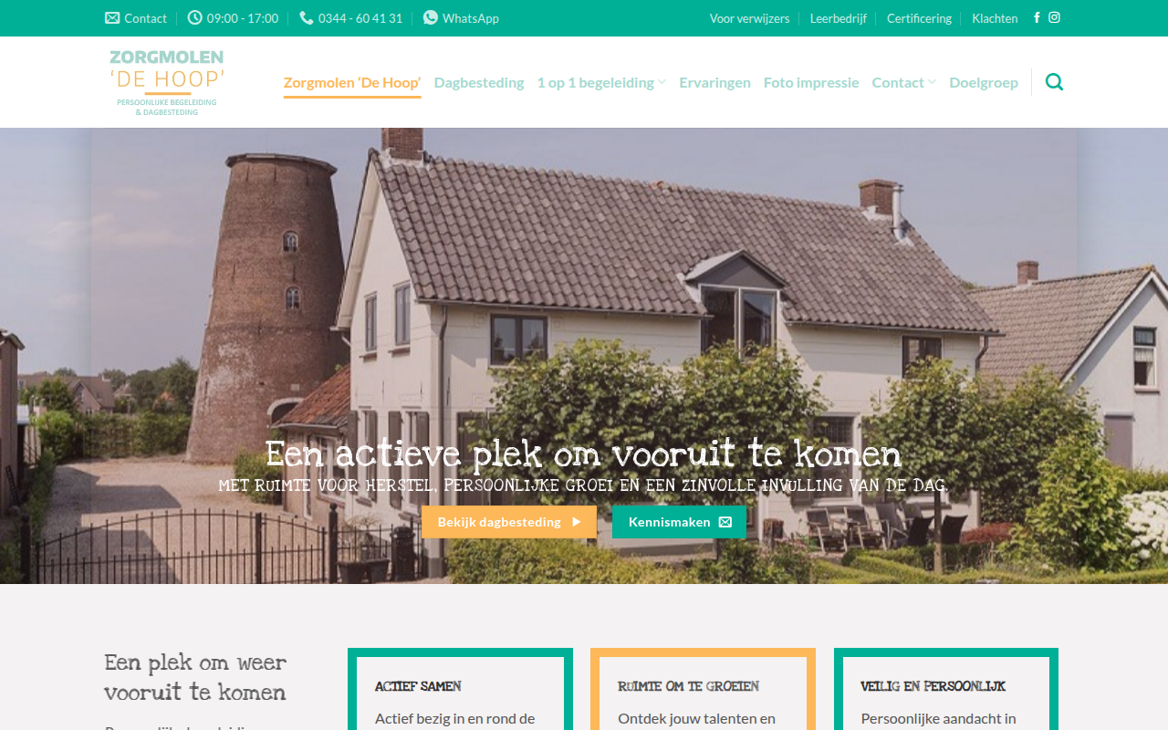 Screenshot van zorgmolendehoop.nl