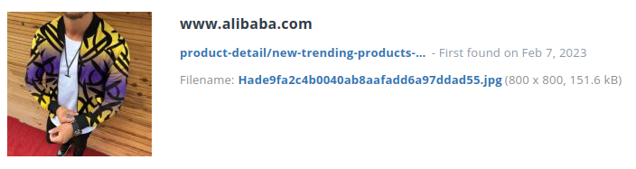 Identiek product alibaba.com