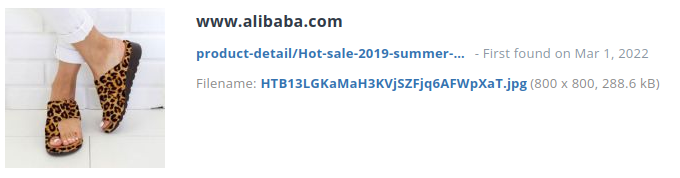 Voorbeeld identiek product alibaba.com
