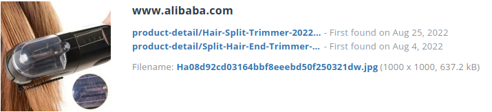Voorbeeld webshop aanbieding ook bij alibaba.com