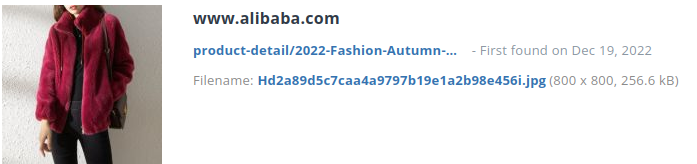 Identiek product gevonden op alibaba.com