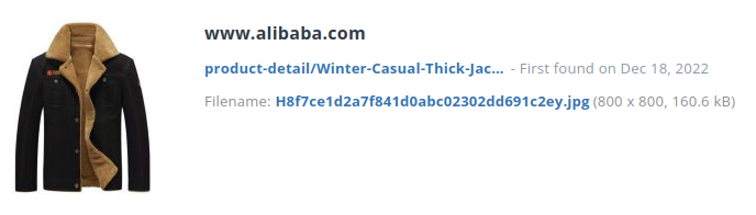 Voorbeeld identiek artikel bij alibaba.com