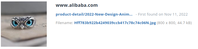 Voorbeeld identiek webshop item bij alibaba.com