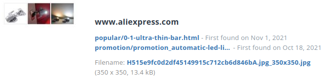 Voorbeeld webshopartikel identiek bij alibaba