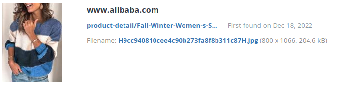 Voorbeeld identiek product alibaba.com