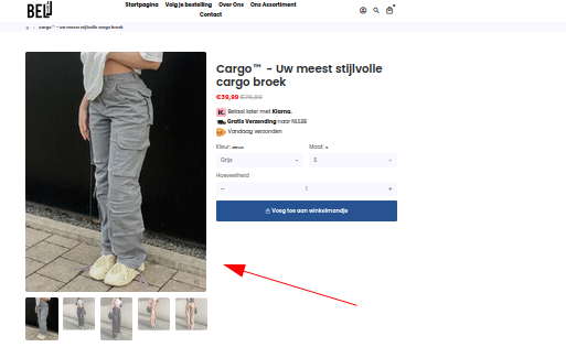 Product zoals aangeboden op webshop