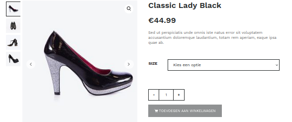 Product zoals aangeboden op webshop