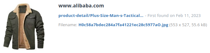 Identieke aanbieding alibaba.com (China).