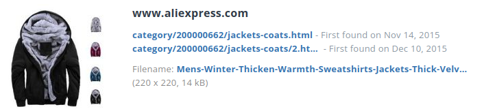 Identieke aanbieding alibaba.com (China)