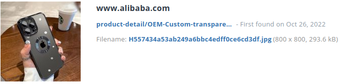 Identieke aanbieding alibaba.com (China)