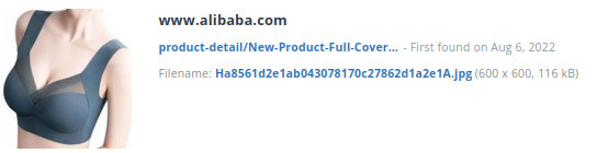 Identiek producten alibaba.com (China)