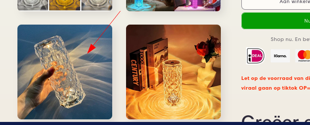 Product zoals aangeboden op webshop