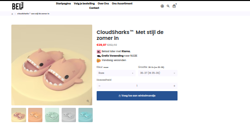 Product zoals aangeboden op webshop