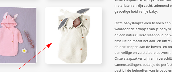 Product zoals aangeboden op webshop