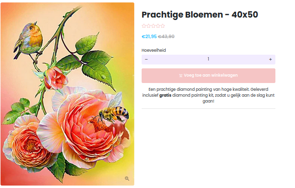 Product zoals aangeboden op webshop