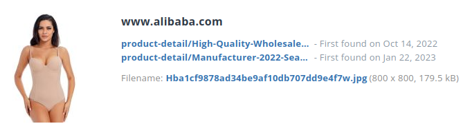 Identieke aanbieding alibaba.com (China)