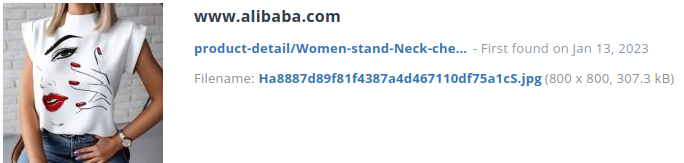 Identieke aanbieding alibaba.com (China)