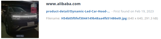 Identieke aanbieding alibaba.com (China)