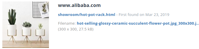 Identieke aanbieding alibaba.com (China)