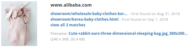 Identieke aanbieding alibaba.com (China)