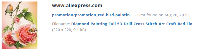 Identieke aanbieding alibaba.com (China)