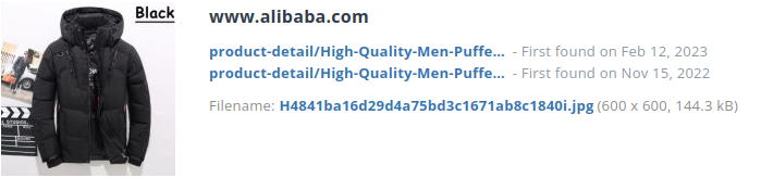Identieke aanbieding alibaba.com (China)