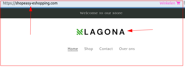 Opvolger / kopie van Lagona.com