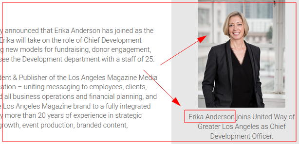 Erika Anderson Chief Development Officer LA