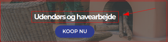 Deens dus geen Nederlandse webshop!