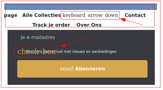 Voorbeelden van fouten in de webshop code