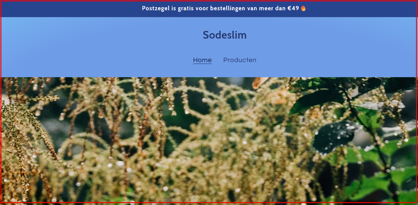 ABSOLUUT MIJDEN!